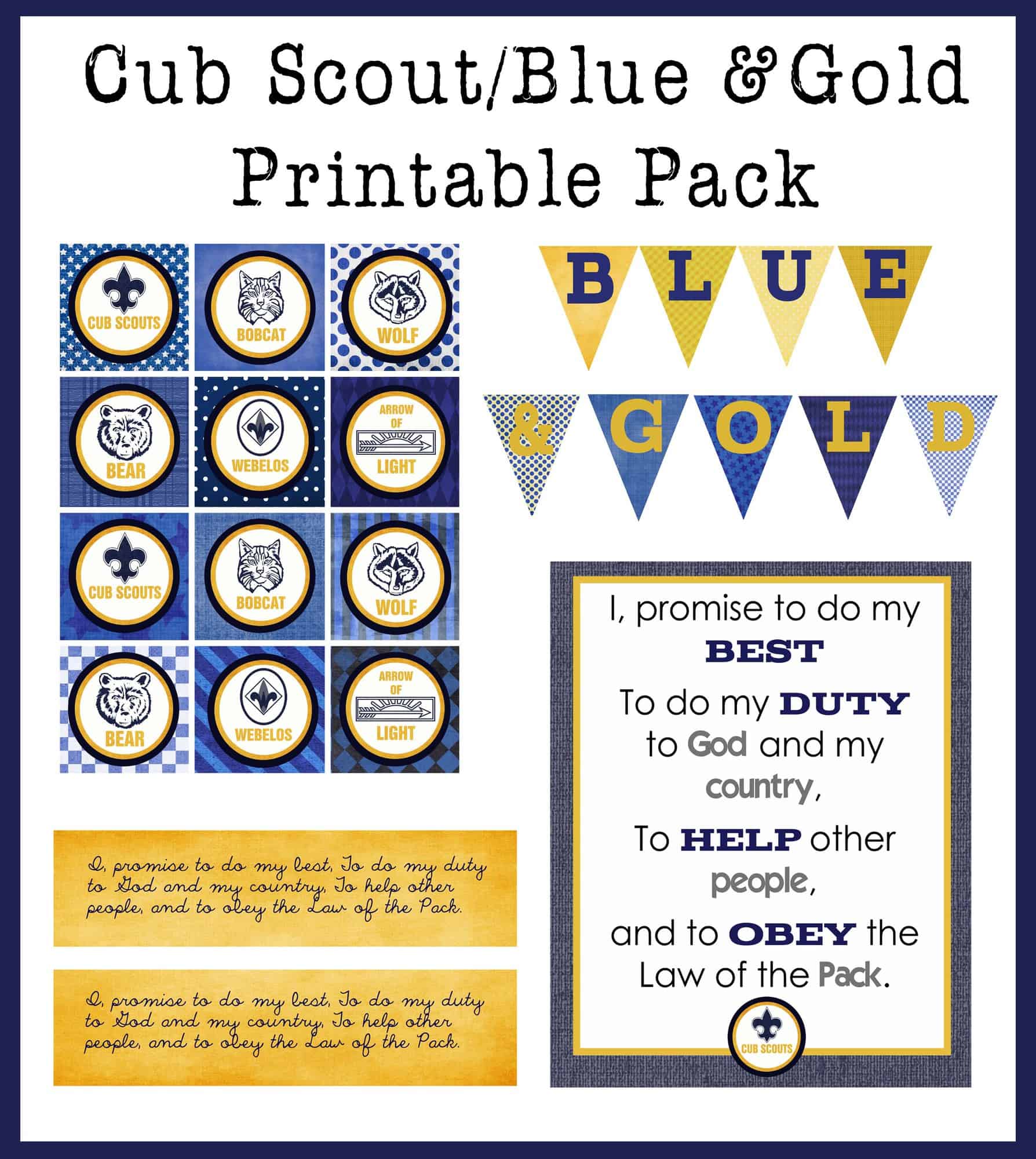 Cub Scout Blue And Gold Program Ideas