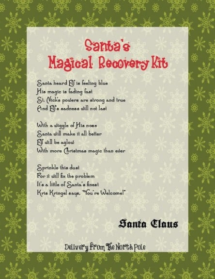 Elf Magical Recovery Kit