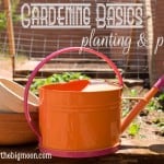 Gardening Basics - Planting and Pests! Such great information here! www.overthebigmoon.com!
