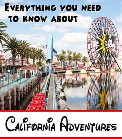 California Adventures - Everything you Need to Know when Planning your Trip