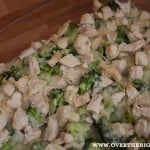skinny-chicken-divan