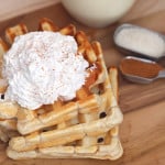 These Eggnog Waffles with Sweet Cinnamon Whipped Cream Waffles are the perfect Winter breakfast! The eggnog taste is there, but subtle and not overwhelming! And the Sweet Cinnamon Whipped Cream is the perfect topping!