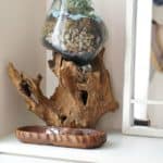 diy-terrarium-glass-wood