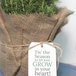 Mini Christmas Tree Gift Idea - from overthebigmoon.com!